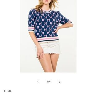 THML Navy and Pink Knit Top